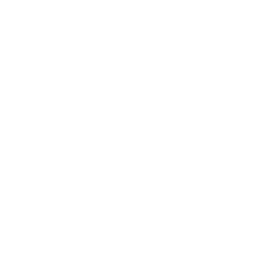 Money bag