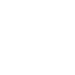 Options